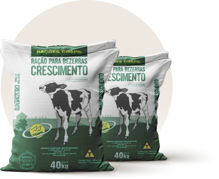 crescimento